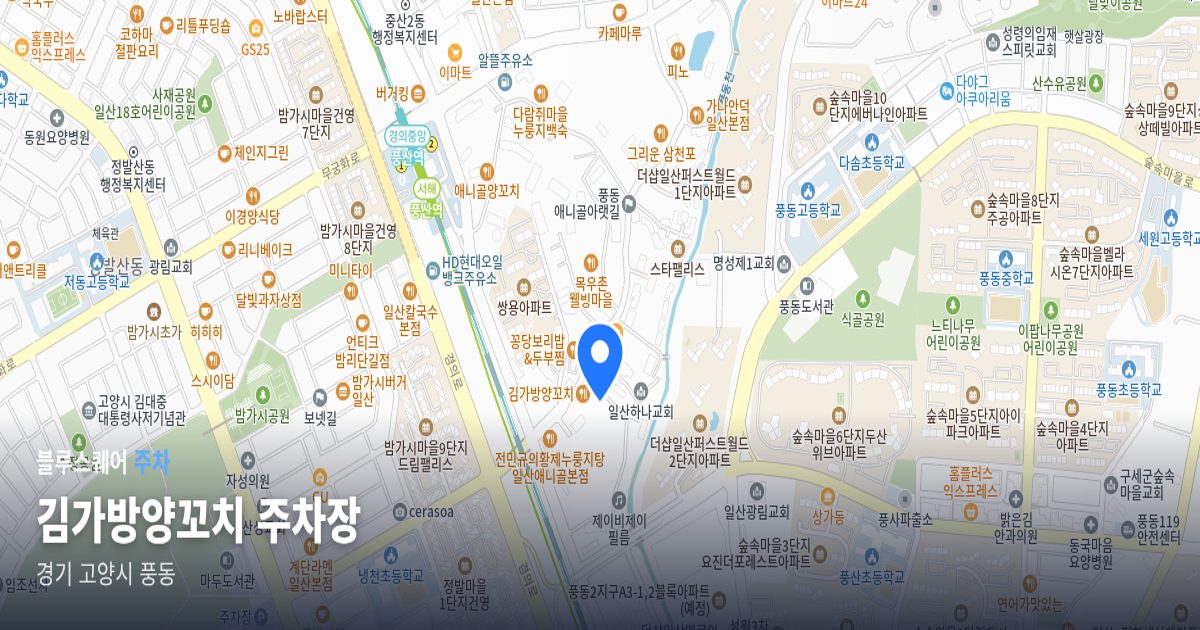 김가방양꼬치 주차장 위치 지도