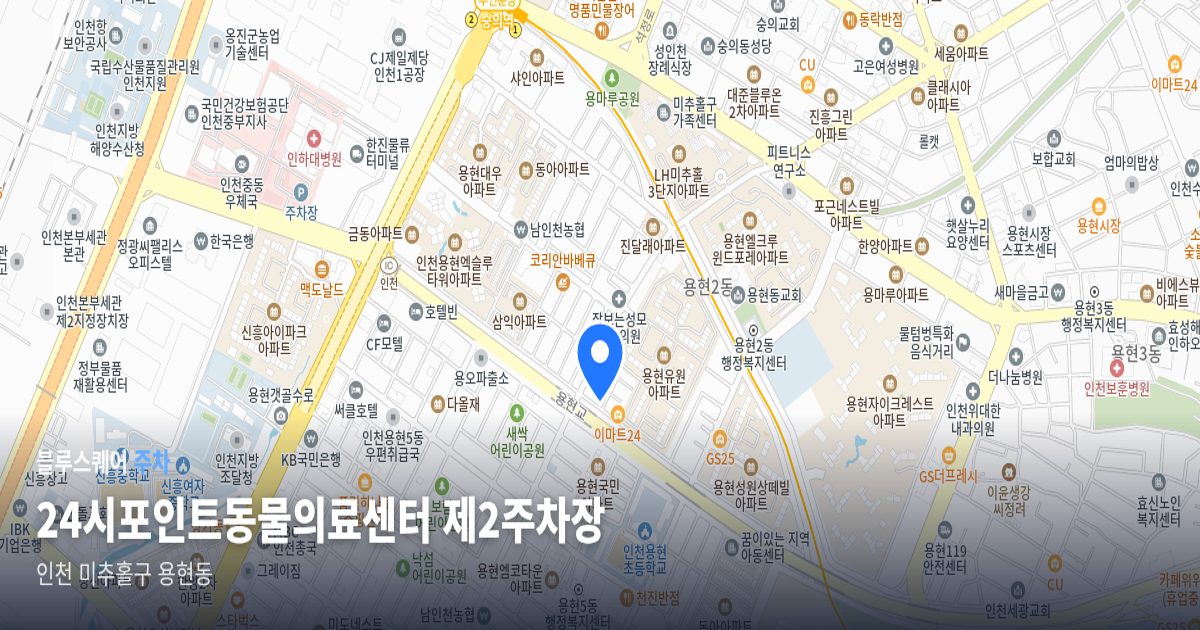 24시포인트동물의료센터 제2주차장 위치 지도