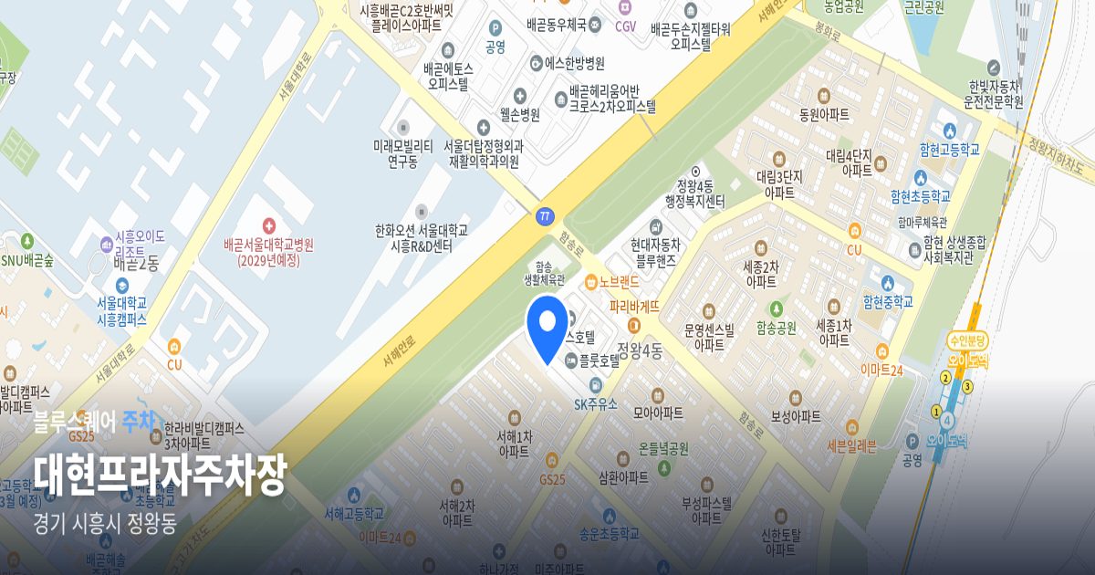 대현프라자주차장 위치 지도