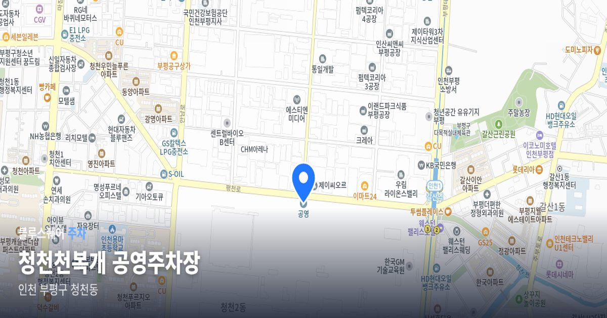 청천천복개 공영주차장 위치 지도