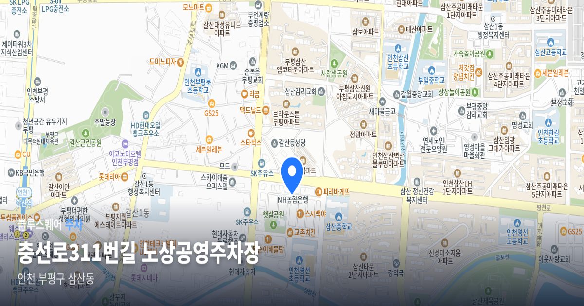 충선로311번길 노상공영주차장 위치 지도
