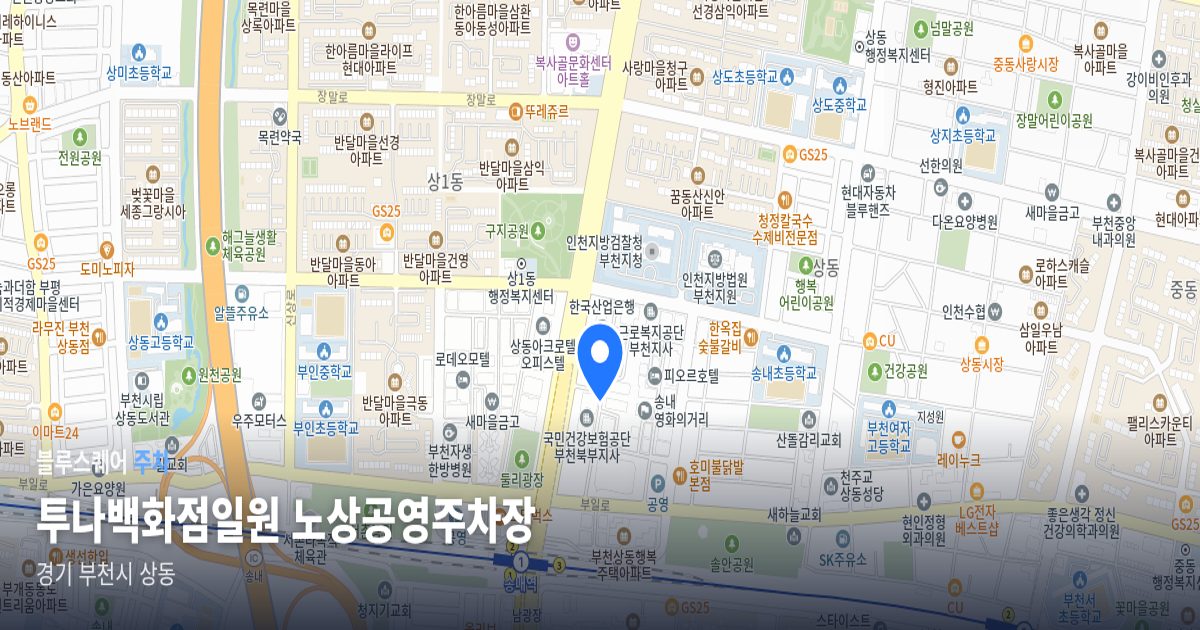 투나백화점일원 노상공영주차장 위치 지도