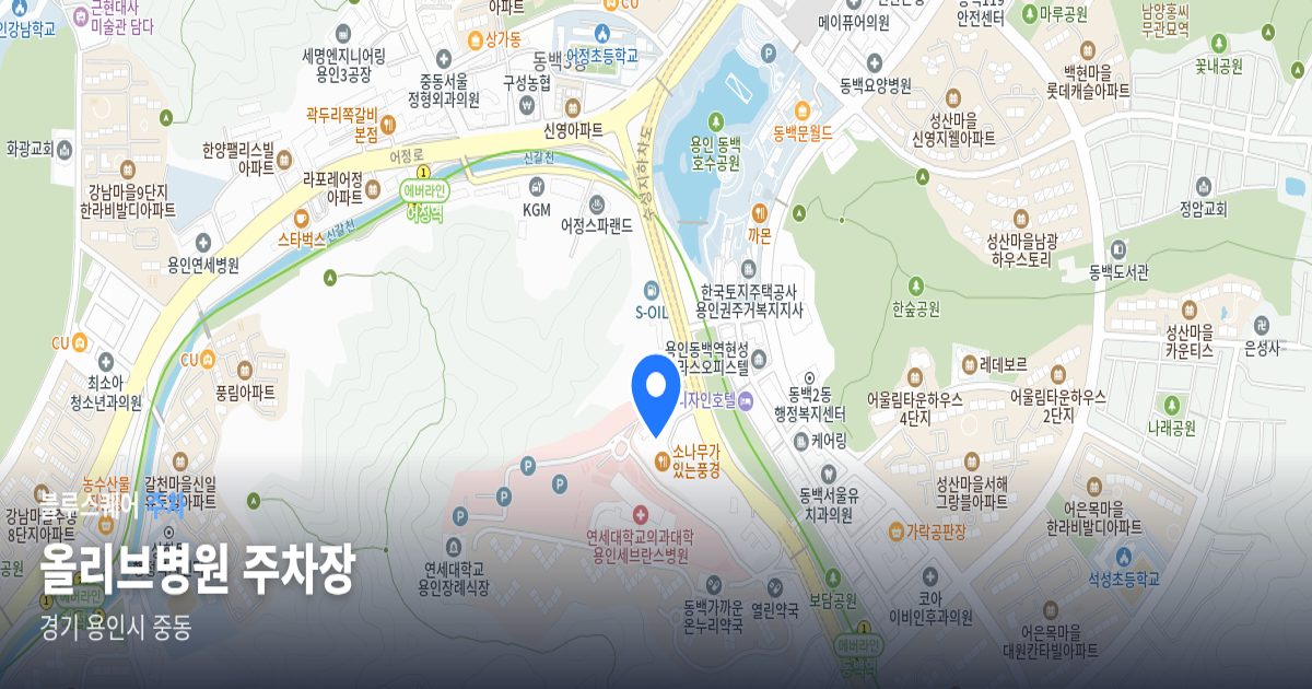 올리브병원 주차장 위치 지도