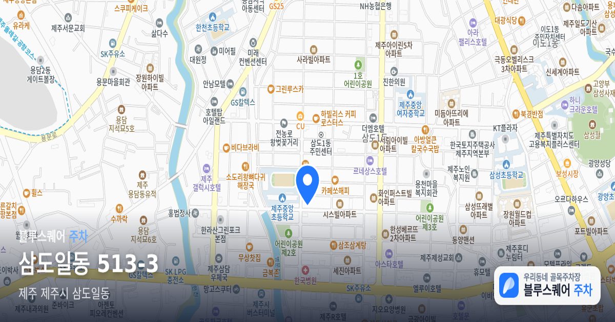 삼도일동 513-3 위치 지도