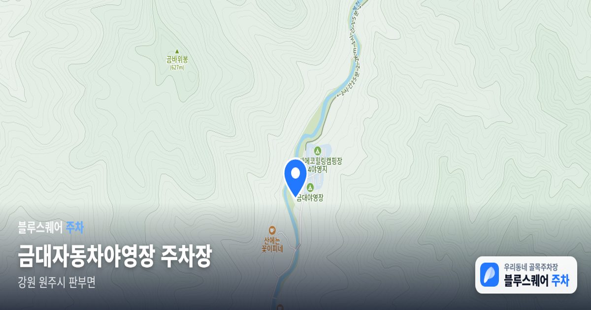 금대자동차야영장 주차장 위치 지도