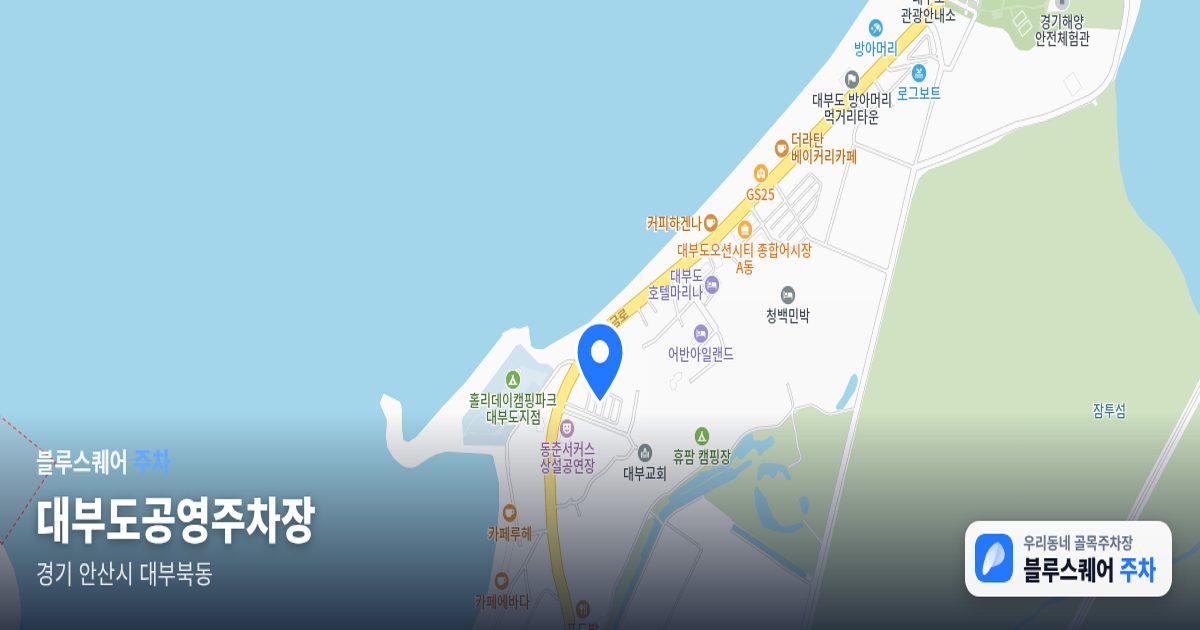 대부도공영주차장 위치 지도