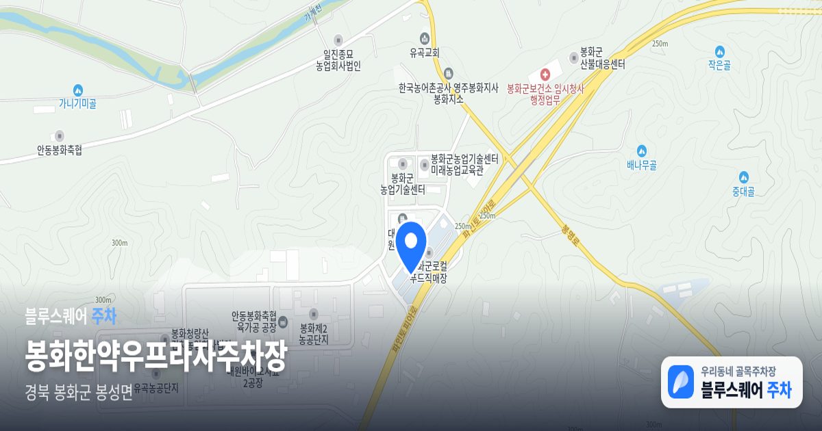 봉화한약우프라자주차장 위치 지도