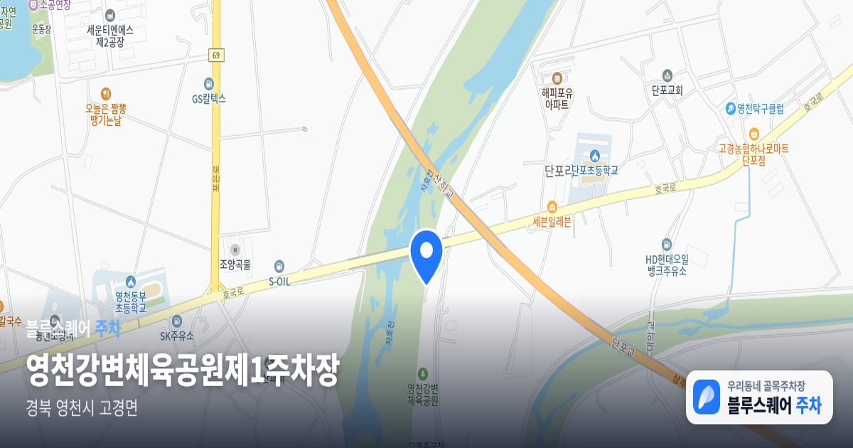 영천강변체육공원제1주차장 위치 지도