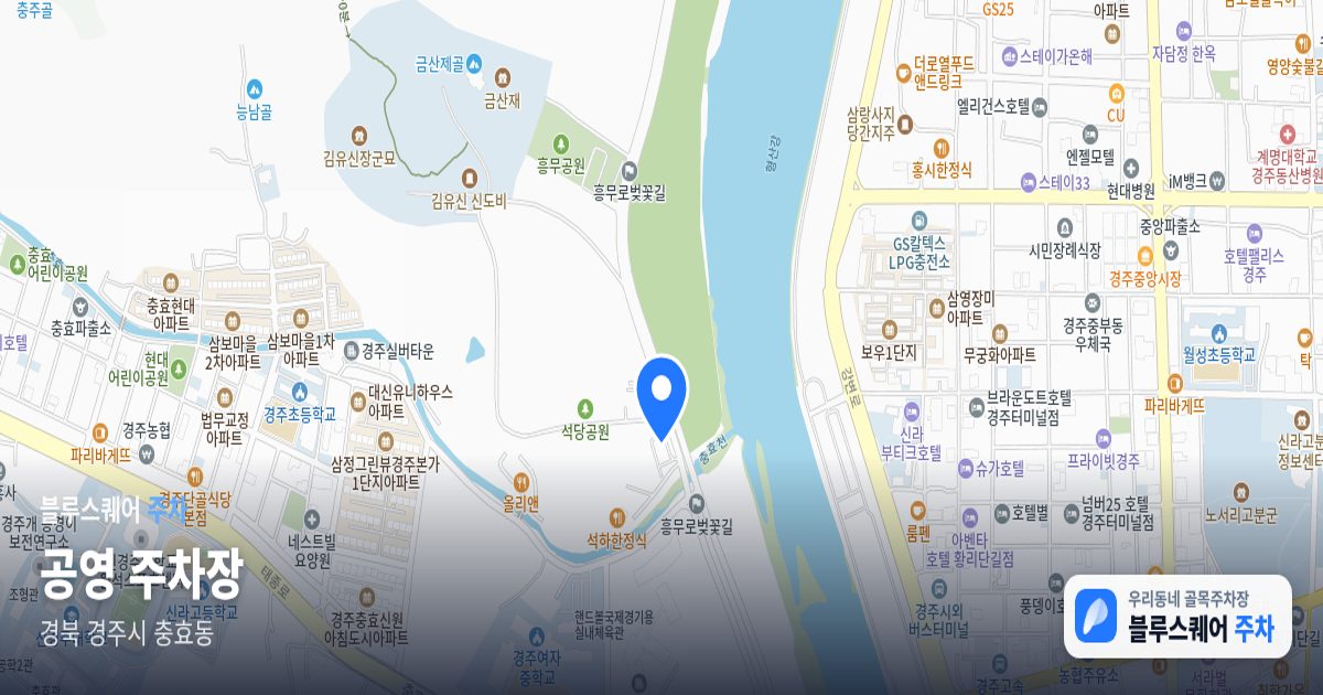 공영 주차장 위치 지도