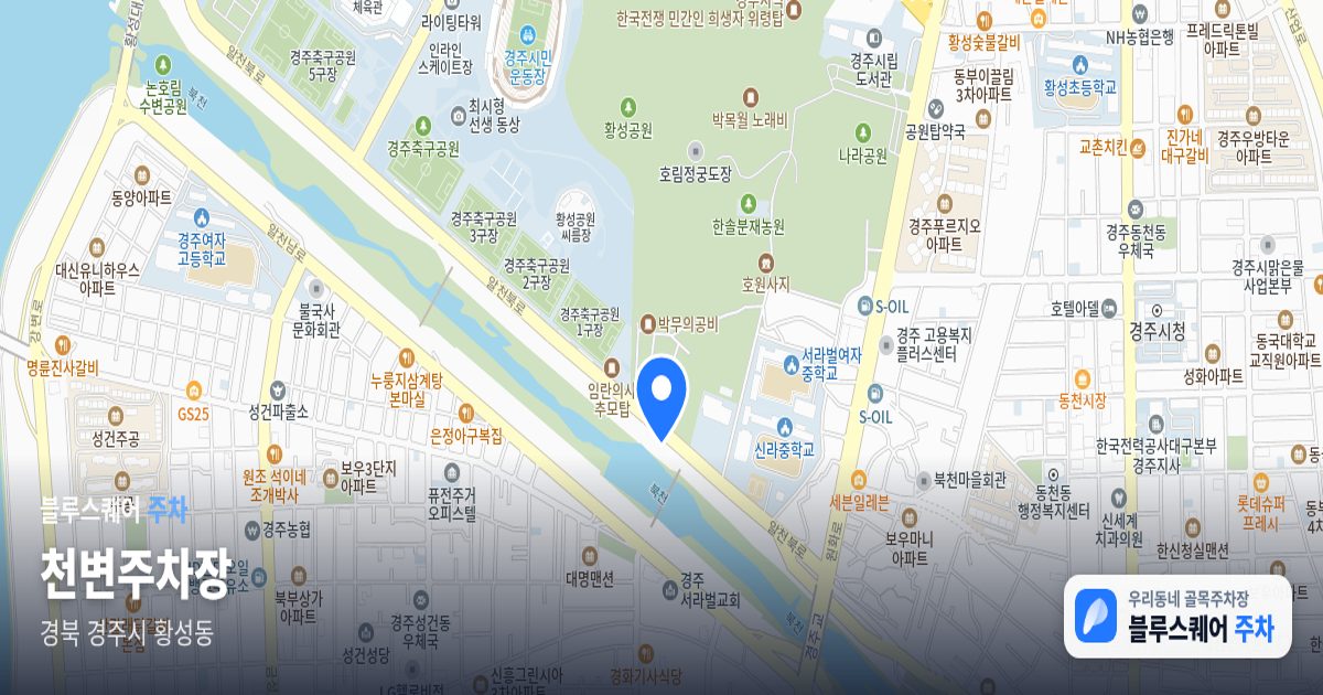 천변주차장 위치 지도