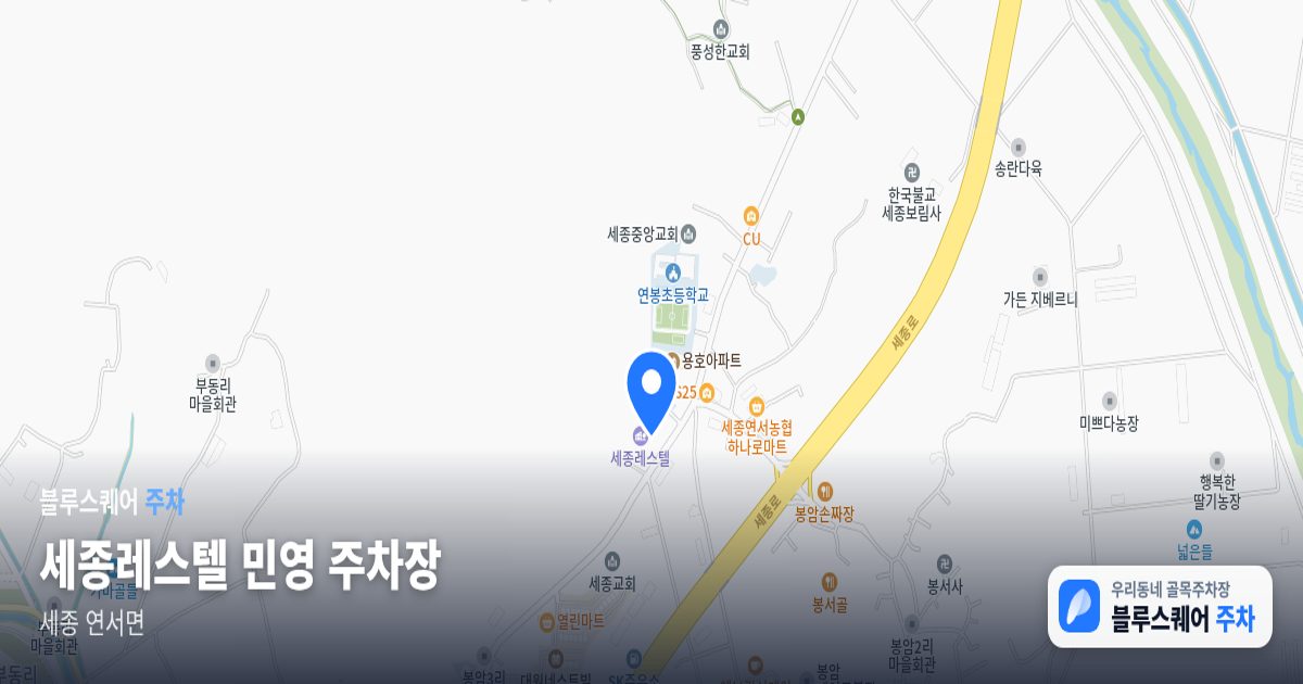 세종레스텔 민영 주차장 위치 지도