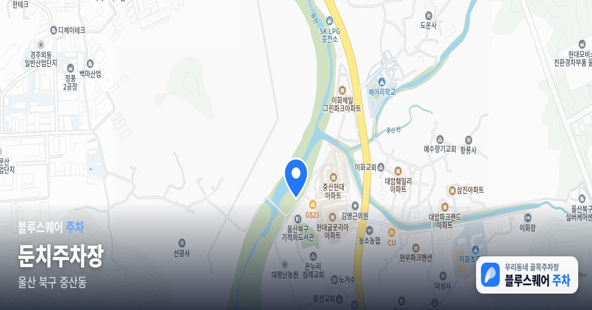 둔치주차장 위치 지도