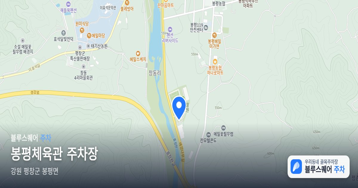 봉평체육관 주차장 위치 지도