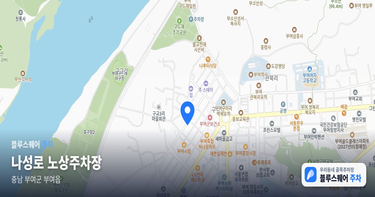 나성로 노상주차장 위치 지도