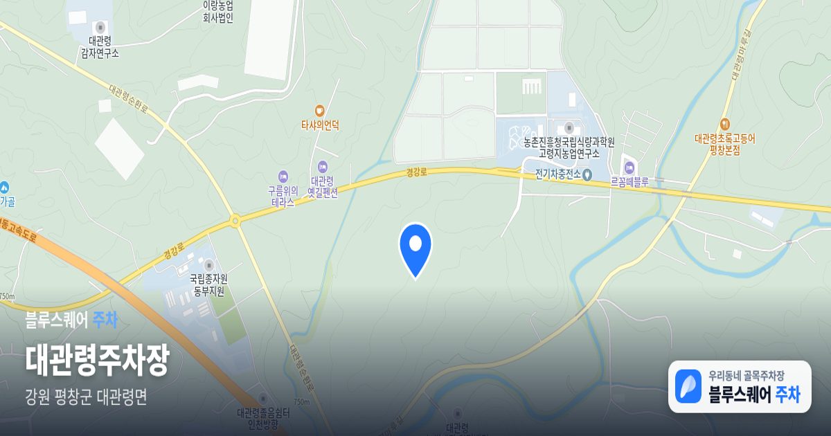 대관령주차장 위치 지도