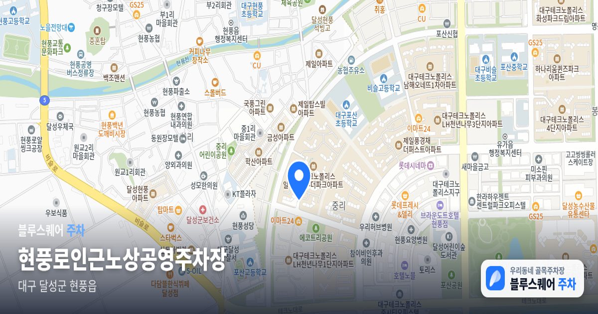 현풍로인근노상공영주차장 위치 지도