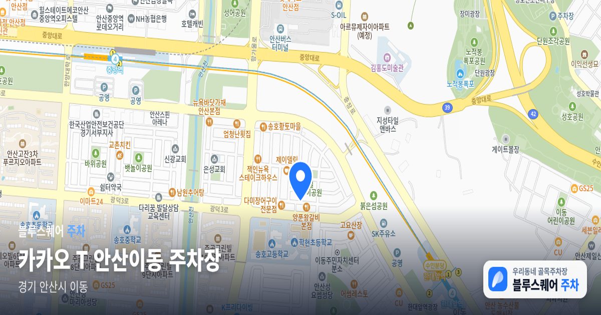 카카오 T 안산이동 주차장 위치 지도