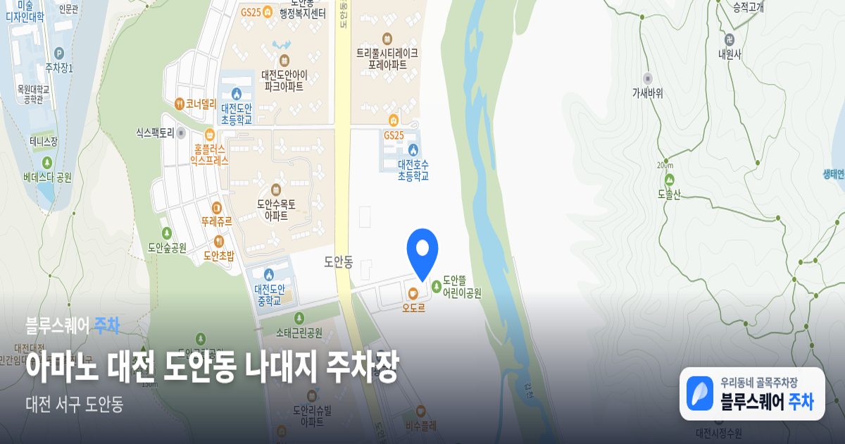 아마노 대전 도안동 나대지 주차장 위치 지도