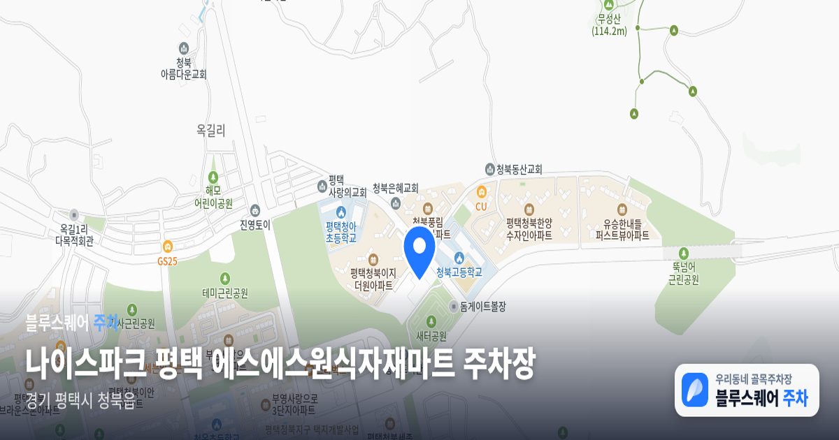 나이스파크 평택 에스에스원식자재마트 주차장 위치 지도
