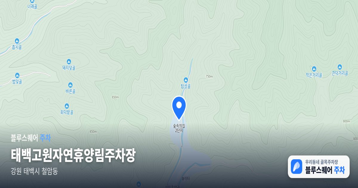 태백고원자연휴양림주차장 위치 지도