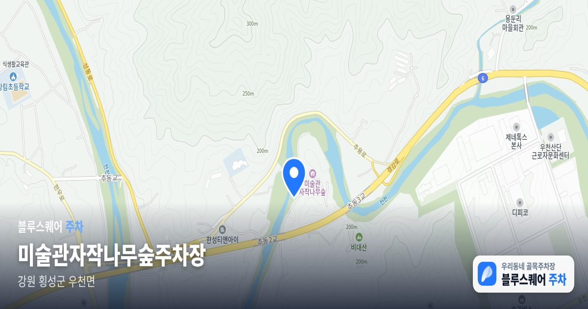 미술관자작나무숲주차장 위치 지도