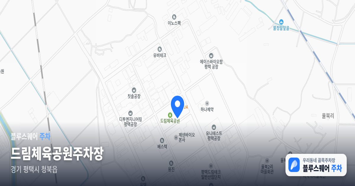 드림체육공원주차장 위치 지도