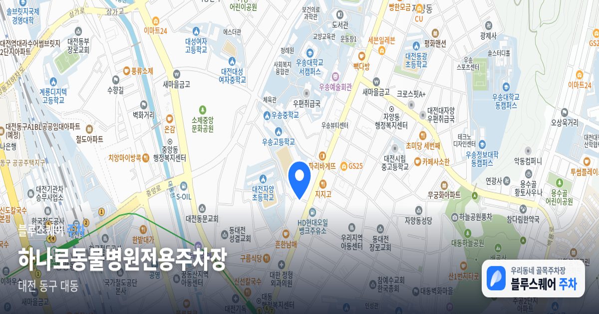 하나로동물병원전용주차장 위치 지도