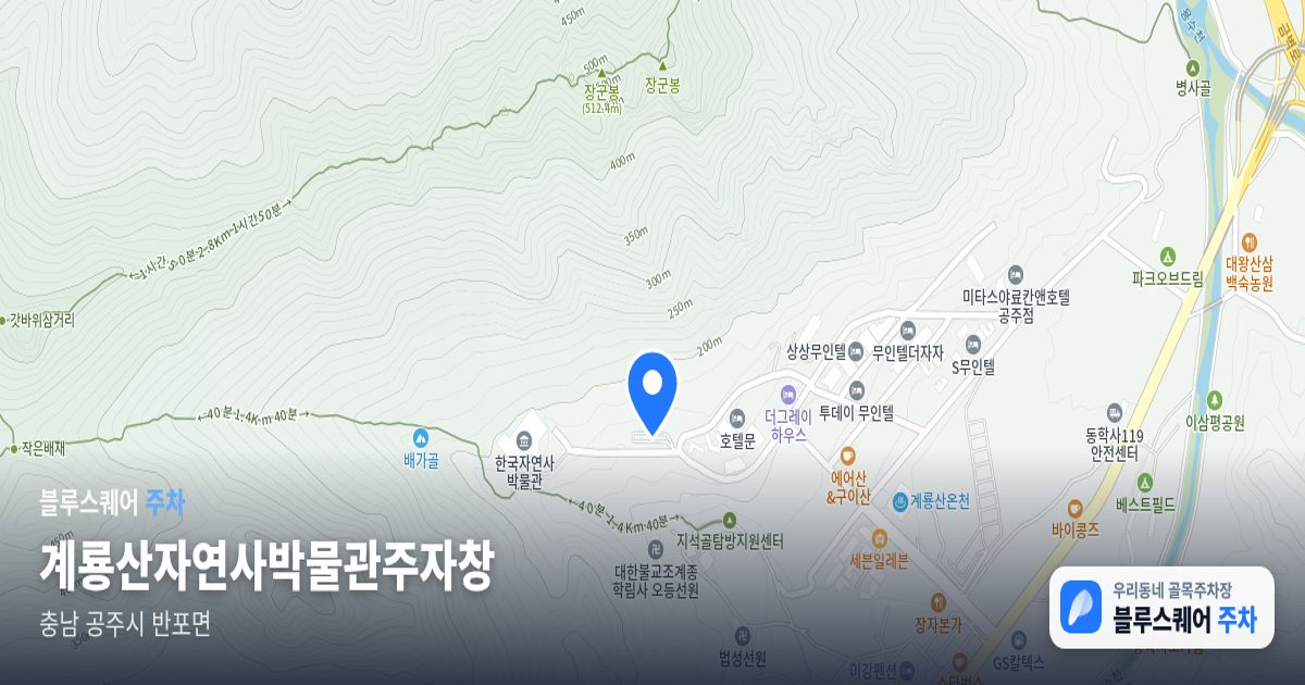 계룡산자연사박물관주자창 위치 지도