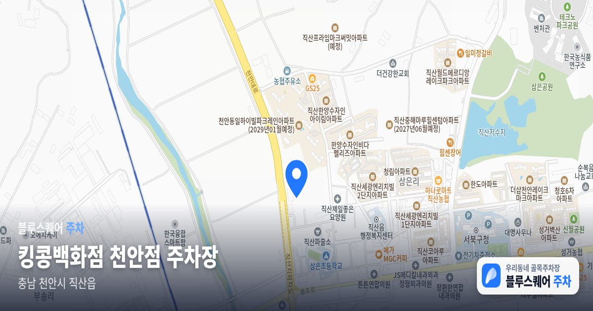 킹콩백화점 천안점 주차장 위치 지도