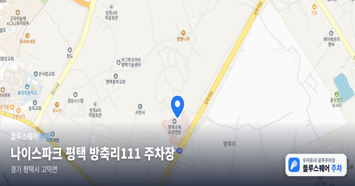 나이스파크 평택 방축리111 주차장 위치 지도