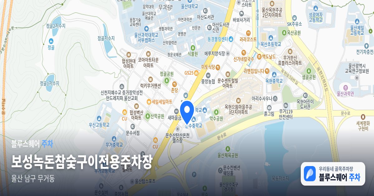 보성녹돈참숯구이전용주차장 위치 지도