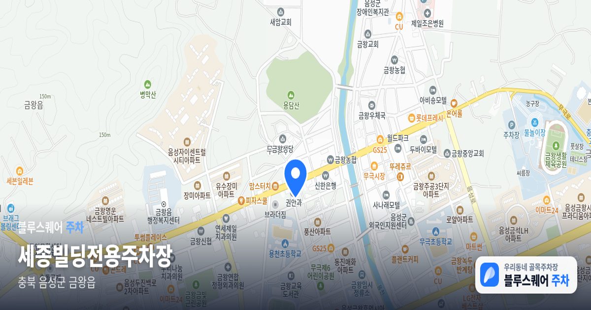 세종빌딩전용주차장 위치 지도