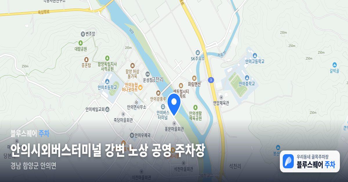 안의시외버스터미널 강변 노상 공영 주차장 위치 지도