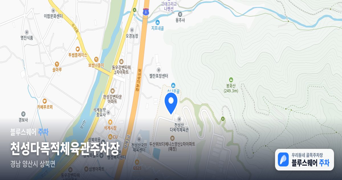 천성다목적체육관주차장 위치 지도