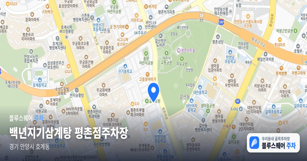 백년지기삼계탕 평촌점주차장 위치 지도