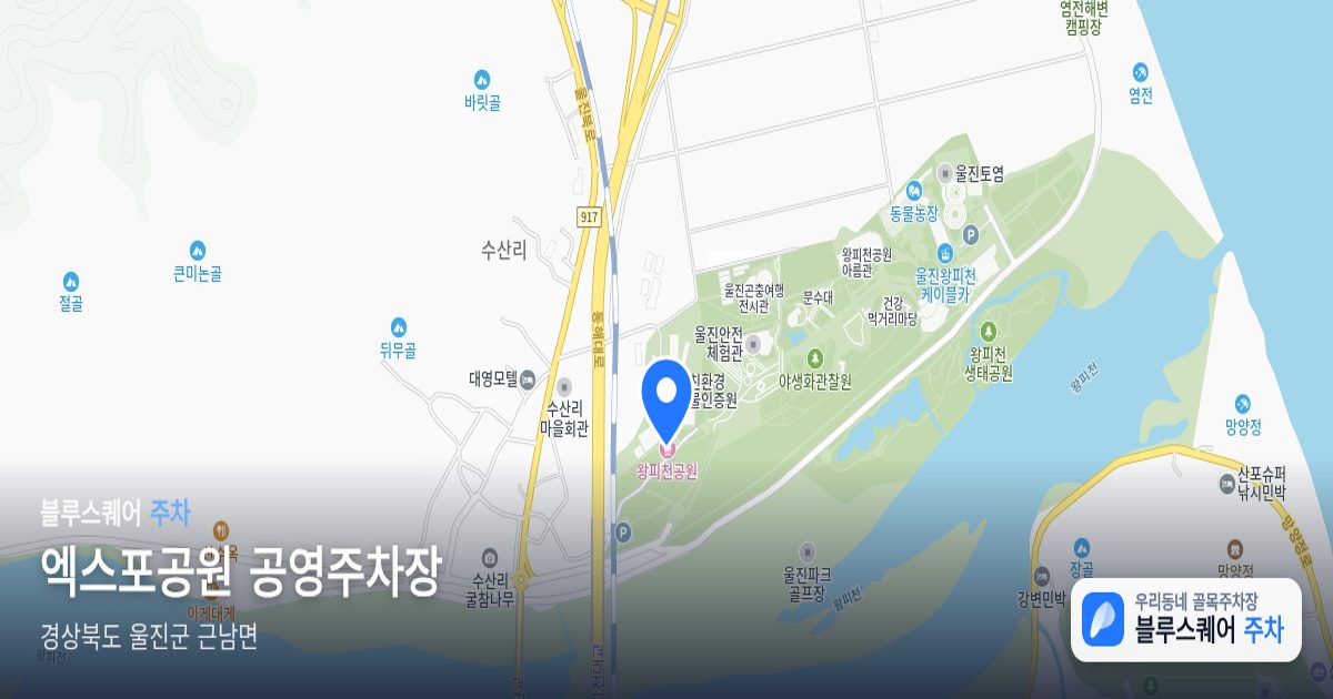 엑스포공원 공영주차장 위치 지도