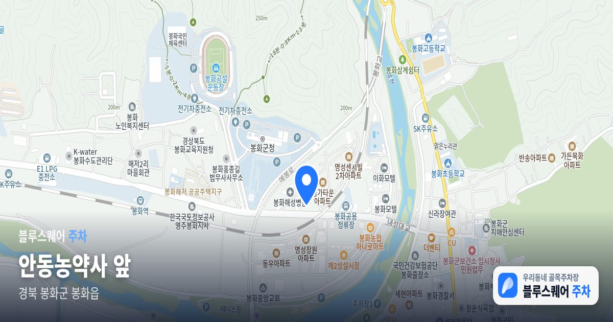 안동농약사 앞 위치 지도