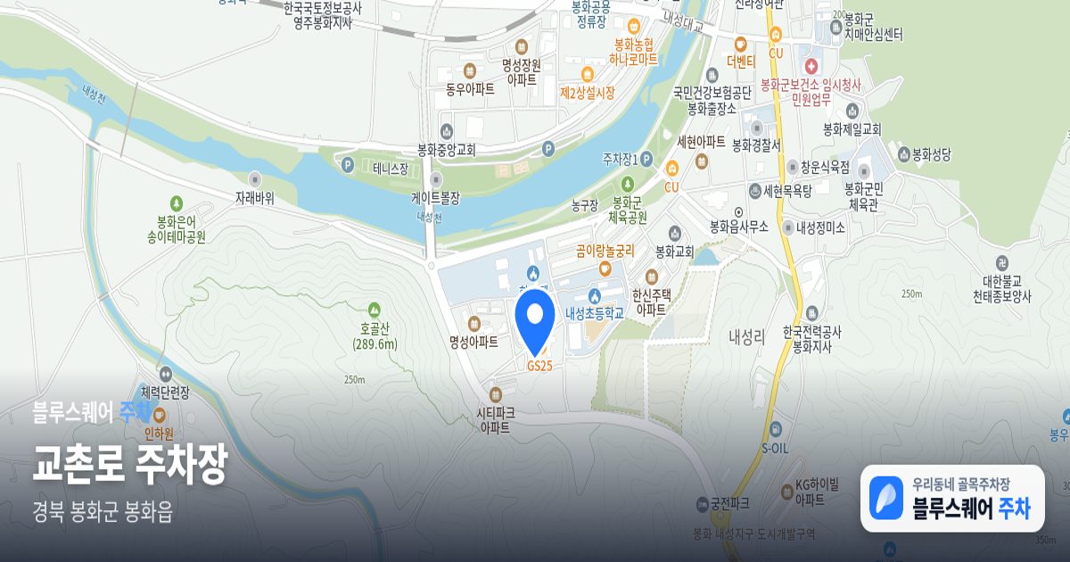 교촌로 주차장 위치 지도