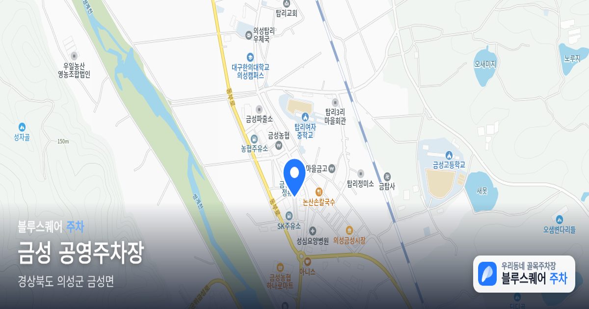 금성 공영주차장 위치 지도