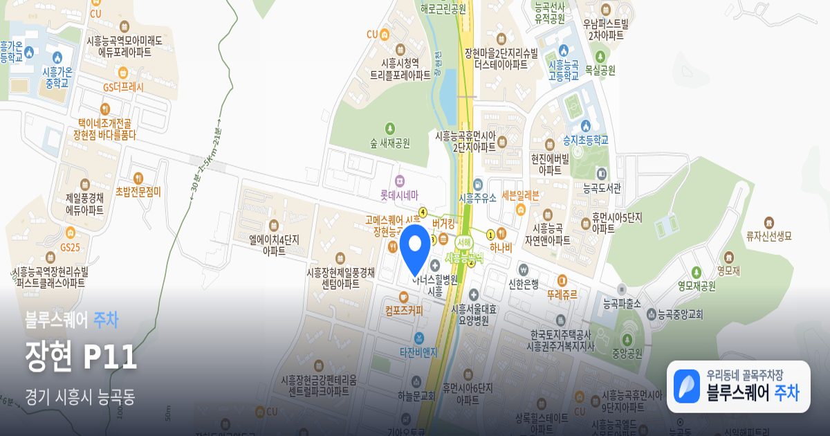 장현 P11 위치 지도