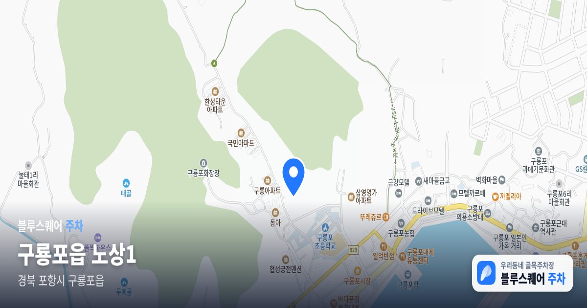 구룡포읍 노상1 위치 지도