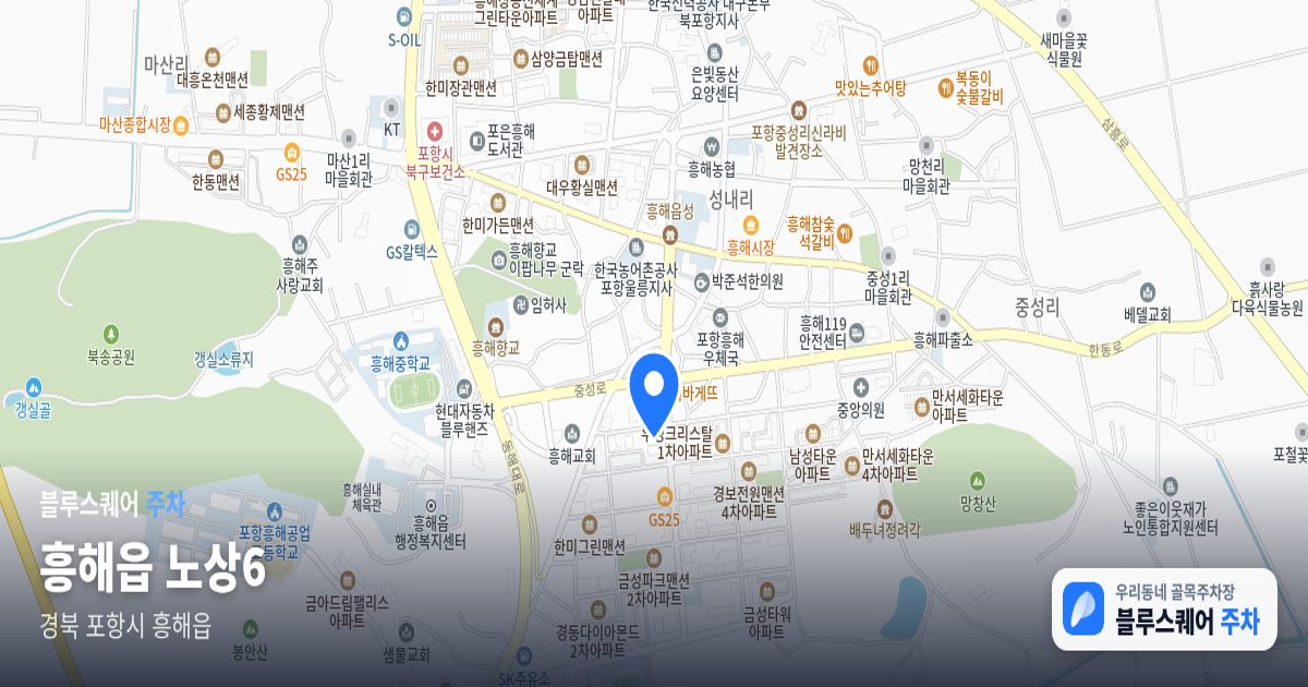 흥해읍 노상6 위치 지도