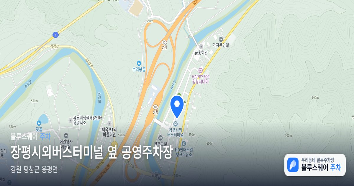 장평시외버스터미널  옆 공영주차장 위치 지도