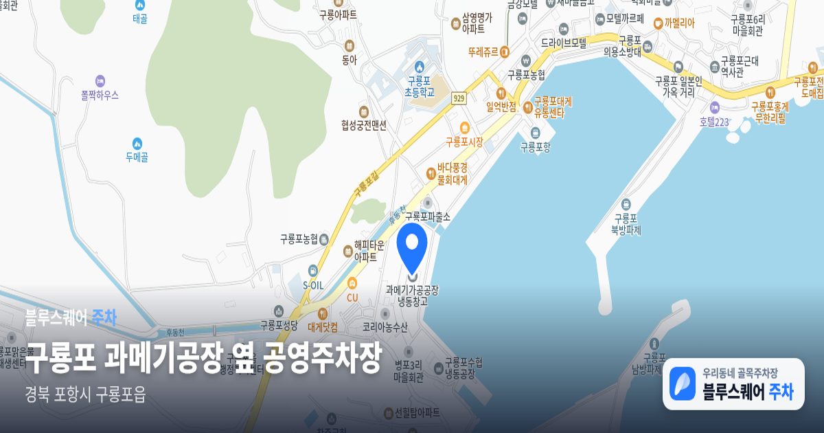 구룡포 과메기공장 옆 공영주차장 위치 지도