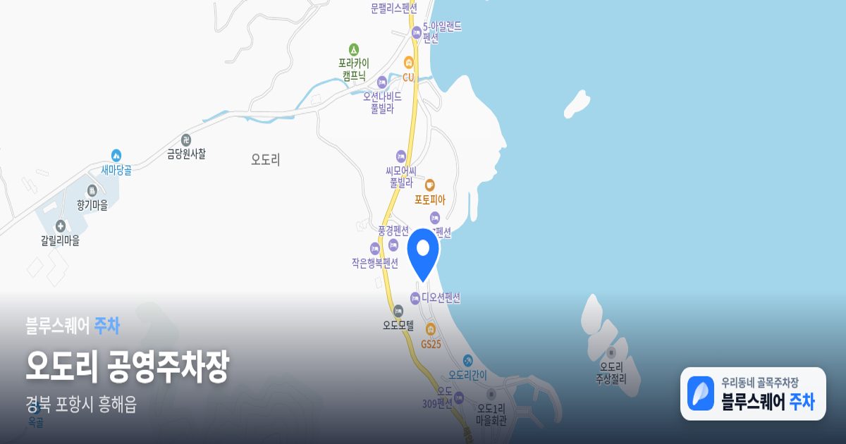 오도리 공영주차장 위치 지도