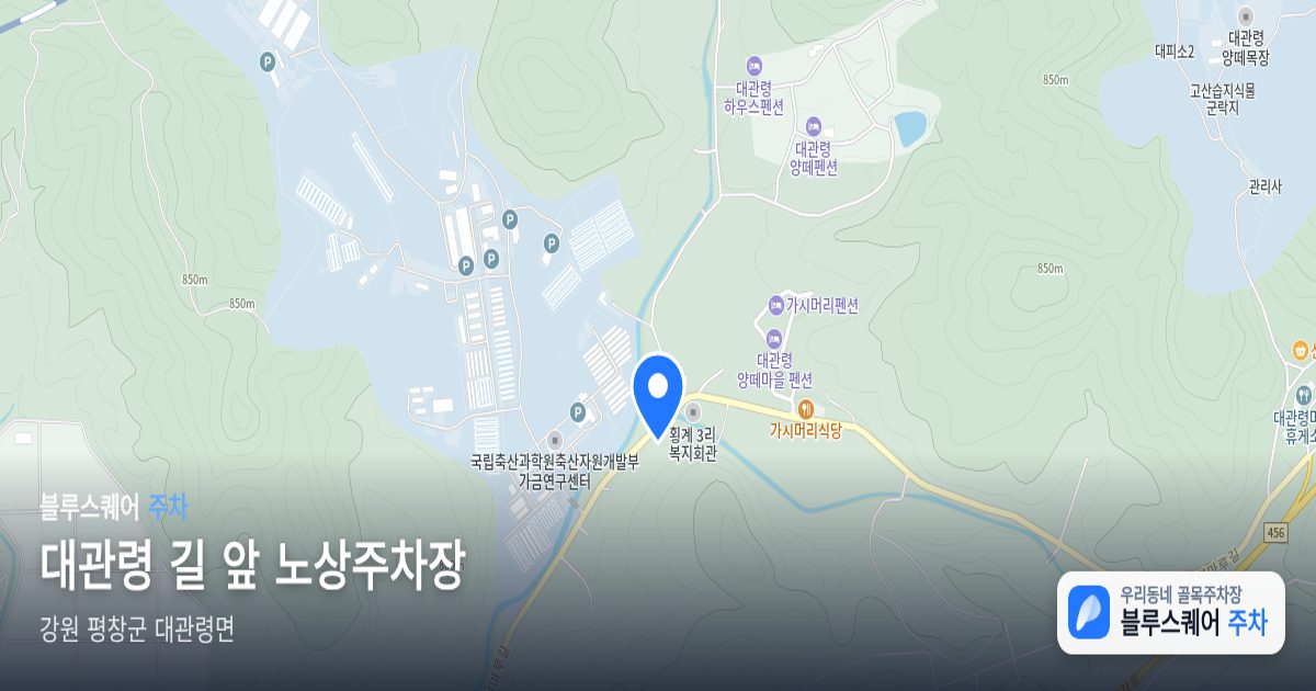 대관령 길 앞 노상주차장 위치 지도