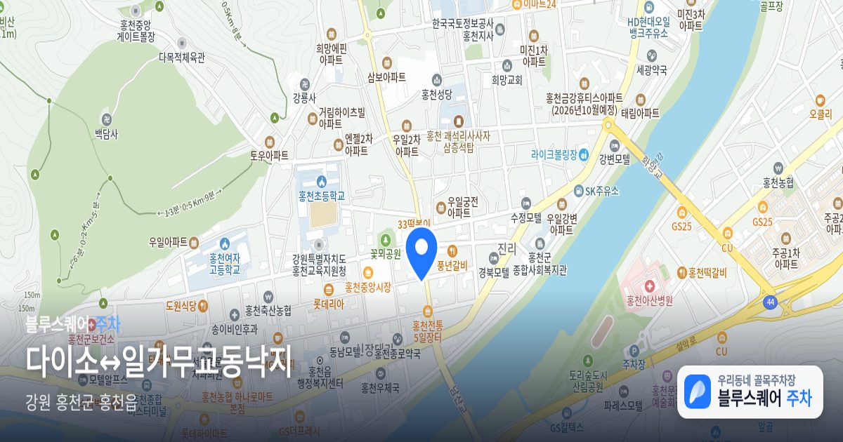 다이소↔일가무교동낙지 위치 지도