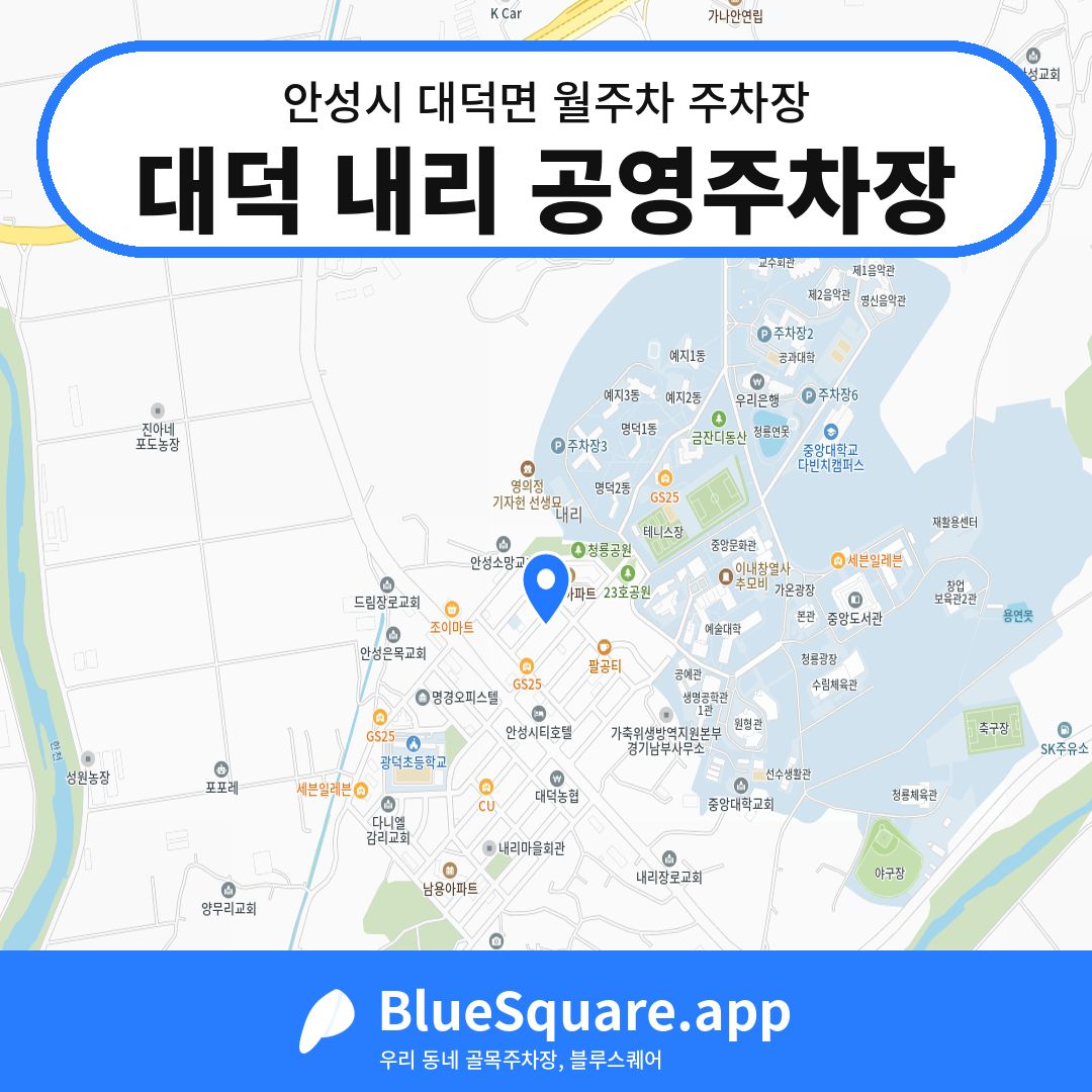 대덕 내리 공영주차장 위치 지도 — 경기 안성시 대덕면 | 블루스퀘어 주차