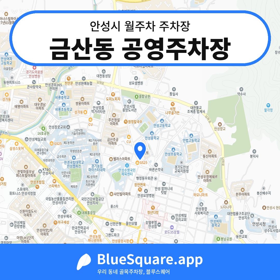 금산동 공영주차장 위치 지도 — 경기 안성시 | 블루스퀘어 주차
