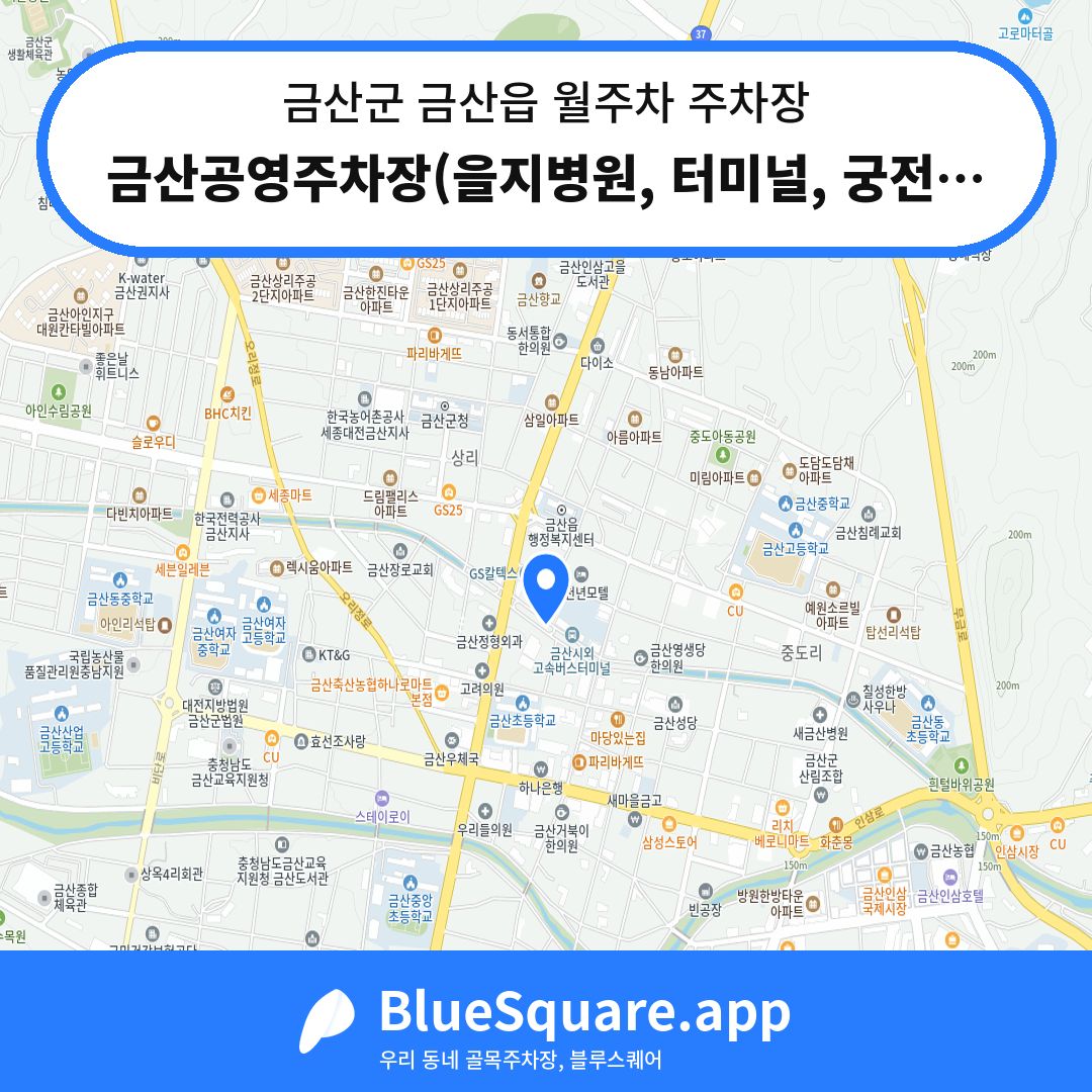금산공영주차장(을지병원, 터미널, 궁전장) 위치 지도 — 충남 금산군 금산읍 | 블루스퀘어 주차